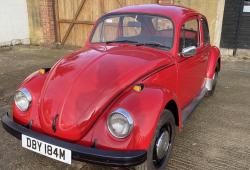 Cars (Used)